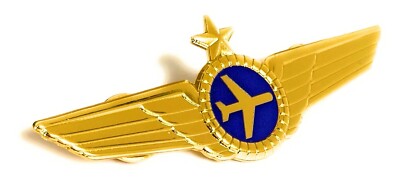 Airlines Pilot Wings Captains Gold Metal Airplane Pin ON SALE! + FREE PILOT GIFT