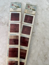 Vintage Pana-vue Travel Slides Yosemite Animals And Old Faithful Area