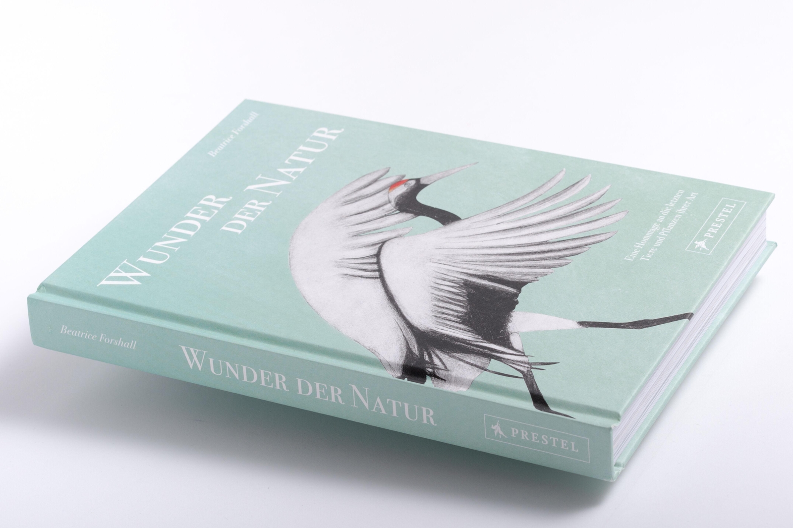 Thumbnail - Wunder Der Natur Beatrice Forshall Buch 256 S. Deutsch 2023 Prestel