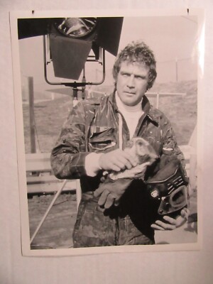 LEE MAJORS in THE FALL GUY 1981 Press Photo