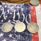 New Listing1896 1889 1884 Morgan Silver Dollar $1 Coins Lot - Circulated Business Strike