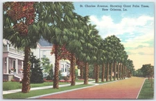 Vintage St. Charles Avenue New Orleans Linen Postcard with Giant Palms