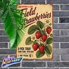 Vintage Sweet Strawberry Tin Sign Retro Fruit Kitchen Wall Art