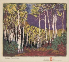 Aspen, Red River By Gustave Baumann - Quality Matte Print - FRAME ME 13x19