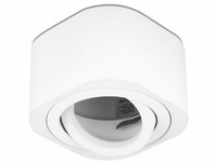 Slim Aluminium Aufbaustrahler Rund Schwenkbar 230V Weiß - FüR Led Modul 230V