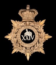 The 24TH 2ND Warwickshire Regiment Blue Cloth Officers Helmet Plate