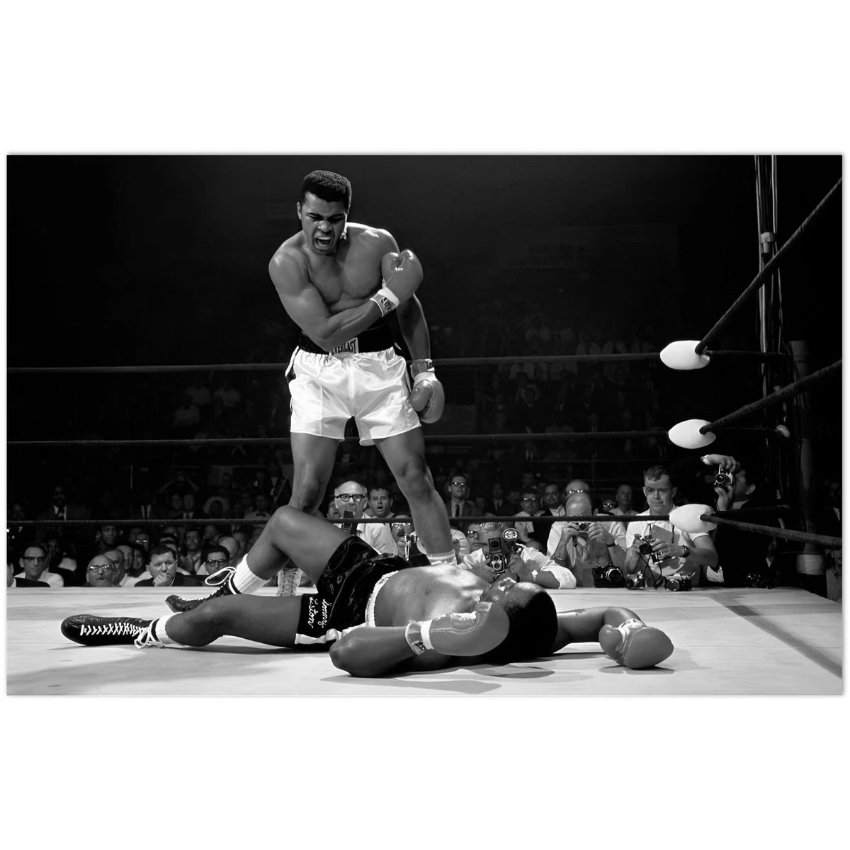 Muhammad Ali in a boxing ring Photo Print - Bed Bath & Beyond - 25469205