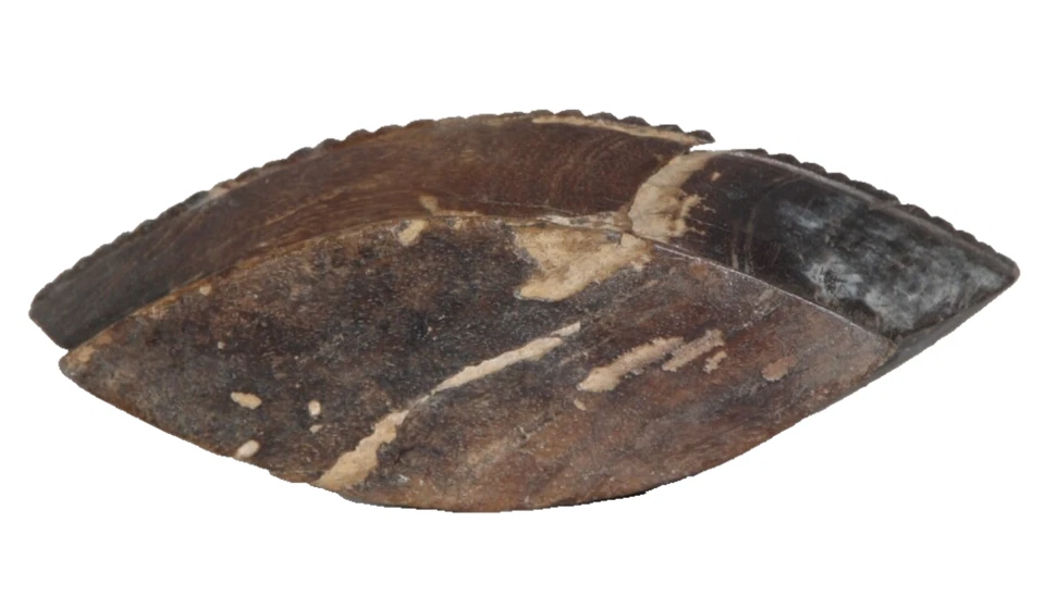 ANTIGUO TAZÓN DE ESPECIAS TRIBAL TALLADO A MANO DE LA DÉCADA DE 1850 FORMA ÚNICA Foto 4 de 4