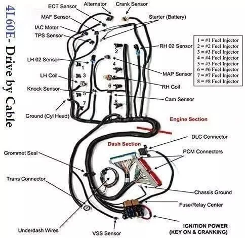 LS SWAPS STANDALONE WIRING HARNESS W/4L60E 1997-06 4.8L 5.3L 6.0L GM LS1 ENGINE - Image 2 of 4