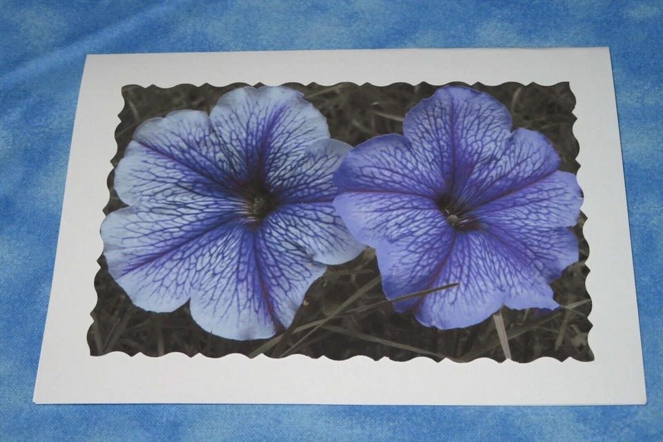 4 SYMPATHY Flower Photo Cards, 5X7 cards, Purple flowers, B&W Photography - Image 4 of 4