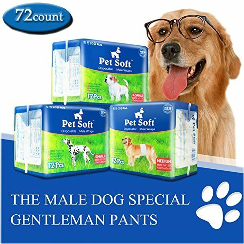 disposable male dog wraps medium
