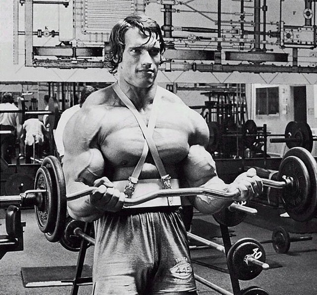 065 Arnold Schwarzenegger - Bodybuilder Mr Olympia Universe 15"x14