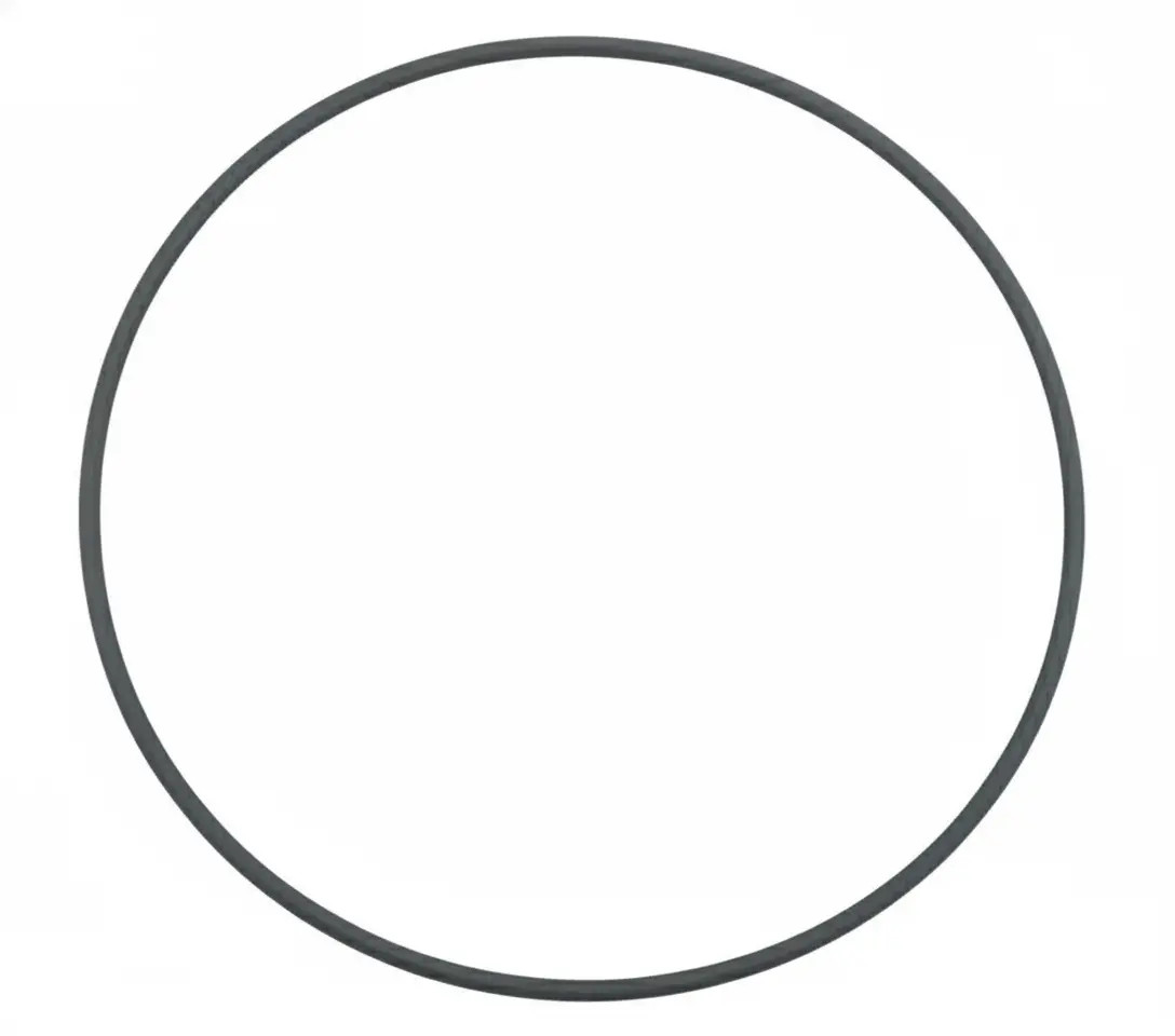 Dt Anello Di Tenuta 10.30650 - Immagine 2