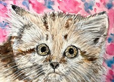 Sand cat kitten wildlife watercolor original painting ACEO