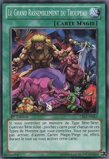 Yu-Gi-Oh: The Great Flock Gathering | CBLZ-FR063 | Commune | NM | FR