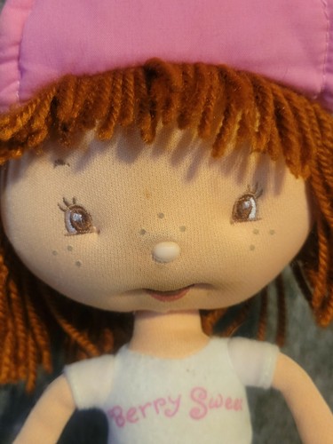 11 Zoll Strawberry Shortcake Plüsch/Bohnenbeere süße Puppe Stofftier