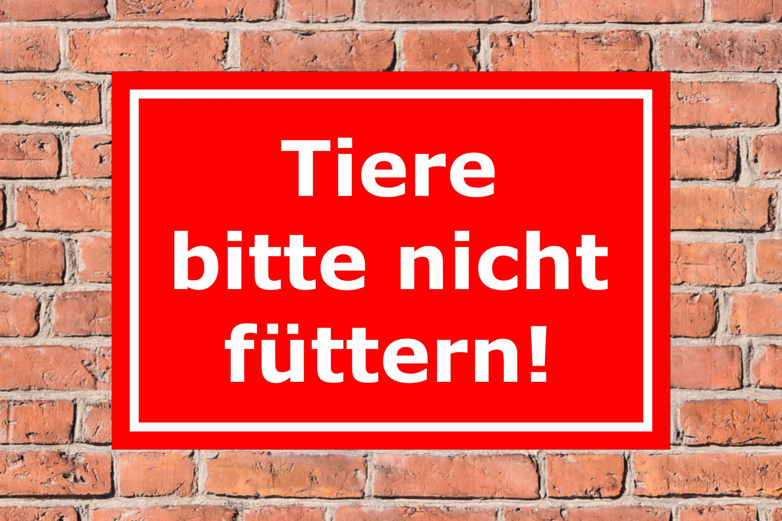 Bild 5 von 5