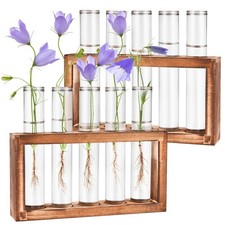 2pcs Desktop Glass Plant Propagation Station 10 Tubes 