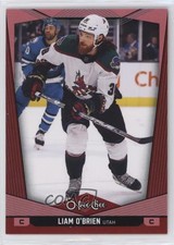 2024-25 O-Pee-Chee Red Border Liam O'Brien #193 9bg
