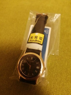 Citizen TV Asahi Limited Model Radio-Controlled Watch Near Mint