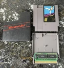 Kung Fu (NES Nintendo Entertainment System, 1985) AUTHENTIC CLEANED NICE!!