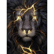 Diamond Painting Art Kit 5D Black Lion Full Square Drill 12x16" Wall Decor Craft
