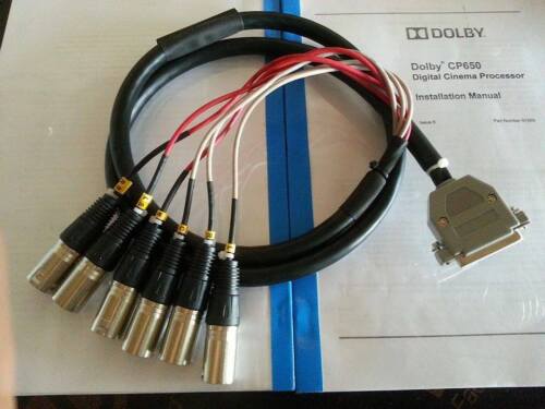 MAIN AUDIO OUT 6 Channel DOLBY CP650 -L,C,R,LS,RS,W,2 meters long(balanced)XLR  - Picture 1 of 7