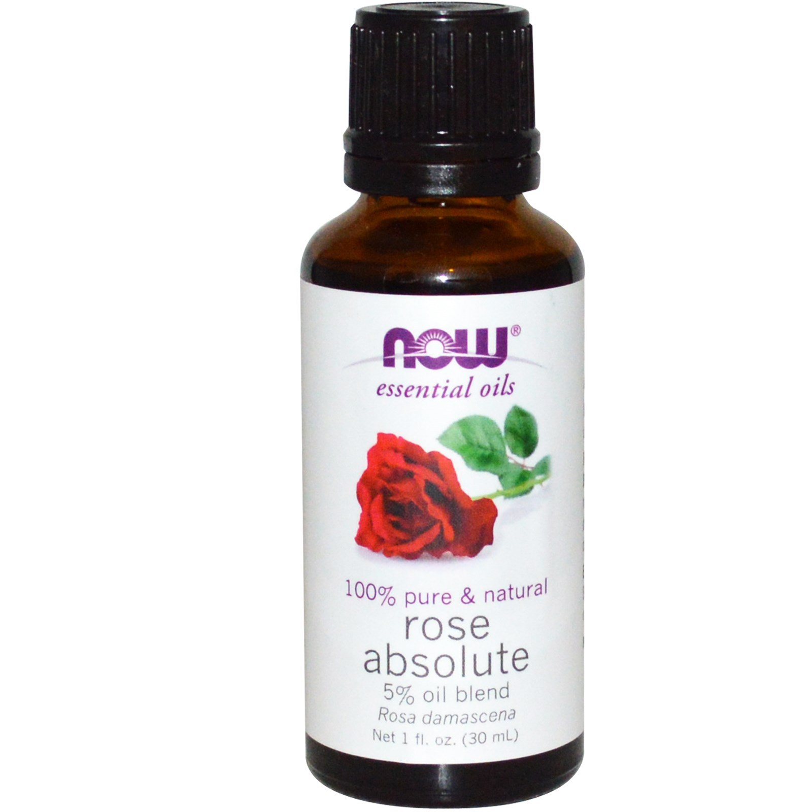 Rose Absolute Oil 5% Blend, 1 oz - NOW Foods Essential Oils