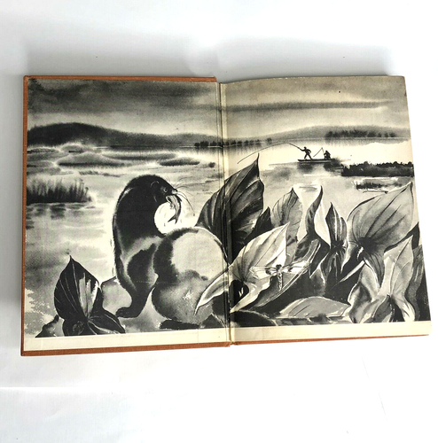 Vison the Mink Book John Jean George Stated First Edition Hardcover 1949 Vintage - Picture 10 of 12