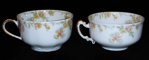 Rare Antique Haviland Limoges, France The Countess Schleiger #69 Fine Dinnerware - Picture 111 of 329