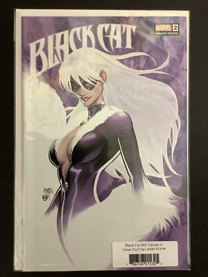 BLACK CAT #2 - LTD TO 3000 MICHAEL TURNER VARIANT COVER