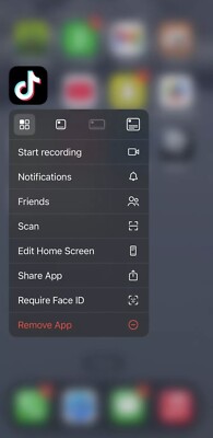iPhone 12 Pro Max With TikTok , CapCut And lemon8