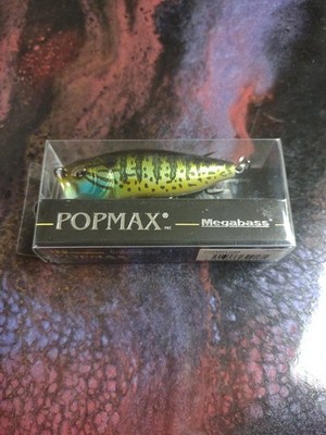 megabass pop max Pumpkin Seed