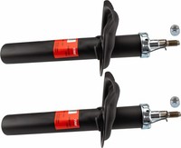 2X TRW StoßDäMpfer JGM3189T FüR CitroËN Peugeot