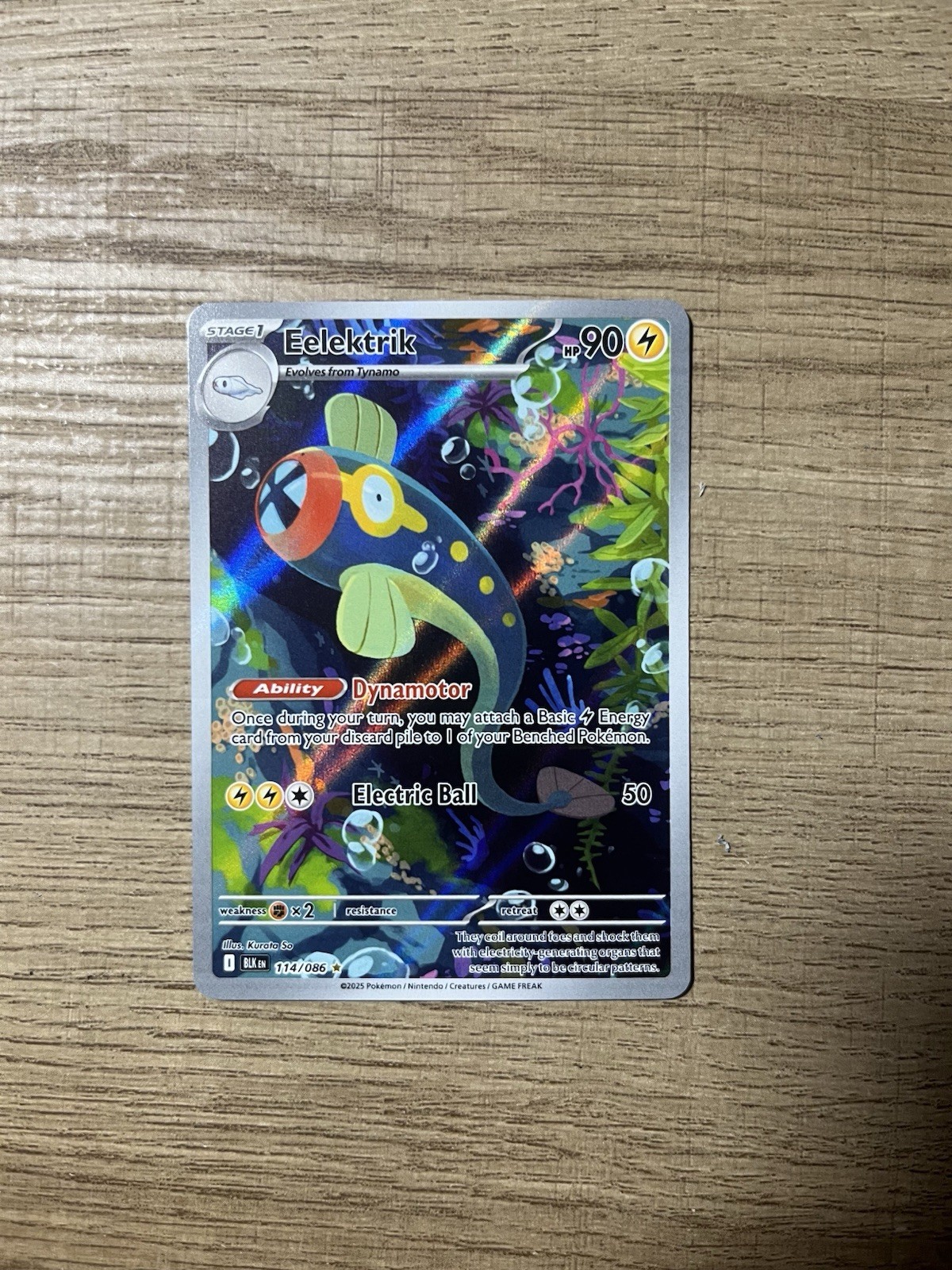 Pokemon TCG Eelektrik 114/086 Sv: Black Bolt IR Near Mint