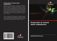 Protocollo Di Sintesi Della Cobalamina Abdelhafid Mimouni Taschenbuch 2024