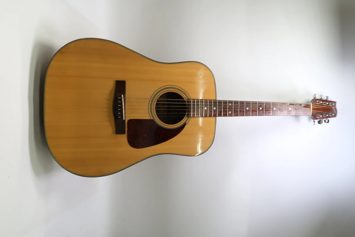Fender f210 2024