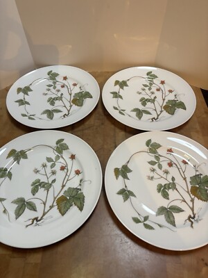 Seltmann Weiden Waldbeere “Wild Berries” Plate Bavaria West
