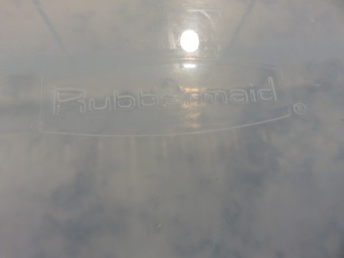 Rubbermaid Keepers Shoe Box Blue Hinged Plastic Snap Latch 90s RARE 6 qt 2281 EX - Picture 8 of 9