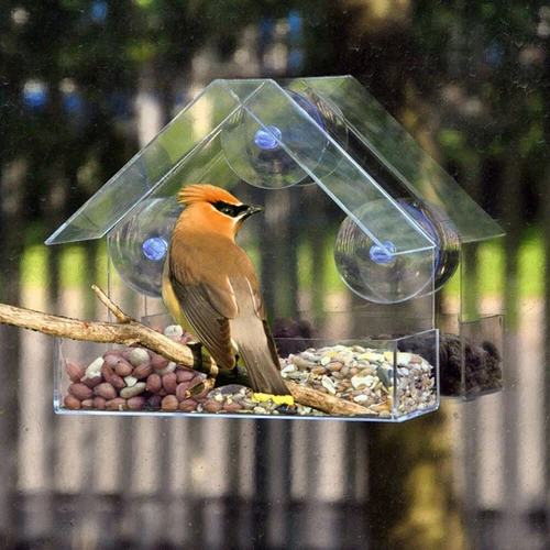 Clear Window Bird Feeder with Strong Suction Cups Wild Bird Feeder Bird Watching - Picture 7 of 15