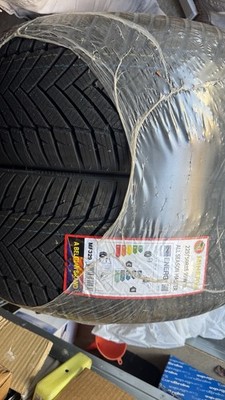 2x Minerva All Saison Master 225/50 R18 99V XL M+S