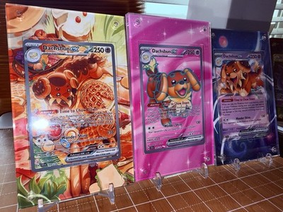 Dachsbun EX SIR Stellar Crown 169/142 067, 160 X3 Pokemon Extended Art Case