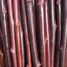 10 x willow cuttings. Salix Daphniodes (Continental Purple)  (approx