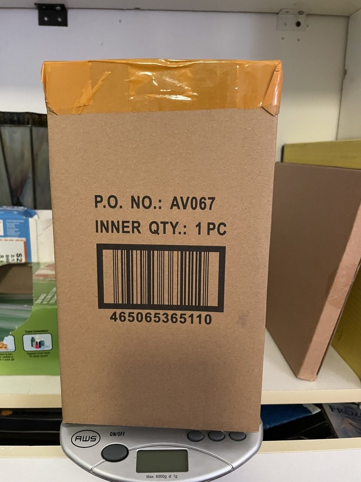 Disney Halloween The Skeleton Dance LightUp Projecting Lantern Silly