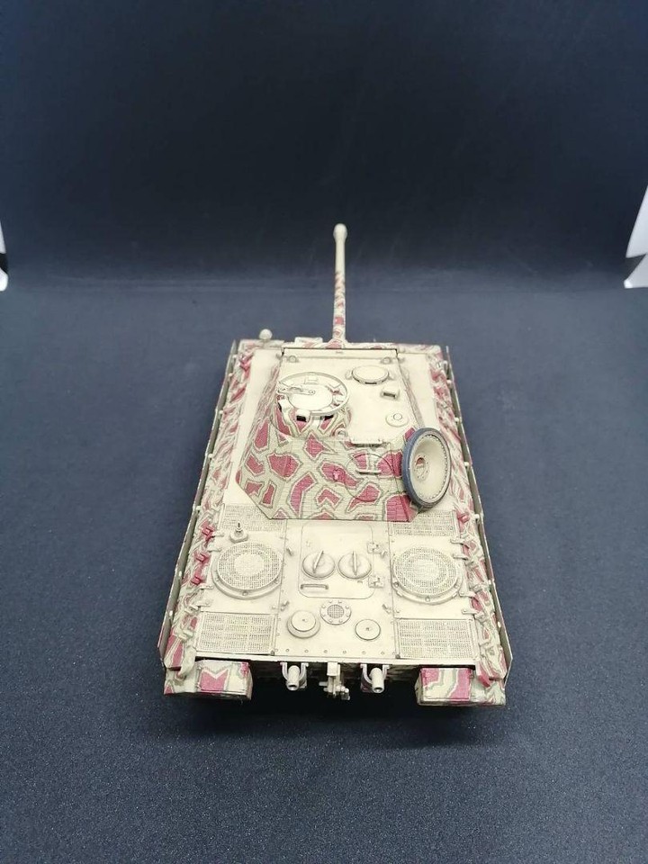 1/35 Panther Arosamunde Tank Plastic Model eBay
