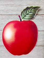 apple-fruit-wall-safe-sticker-kitchen-red-6-inch-1pc