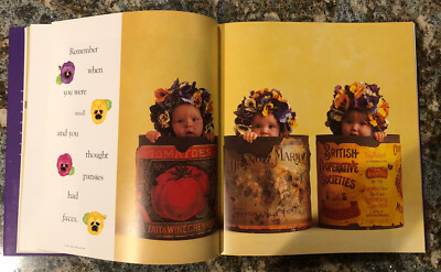 Anne Geddes Down in the Garden Hardcover Book | eBay