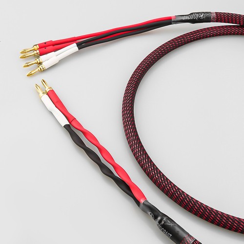 Canare 4S11 HI-FI Bi-Wire Speaker Cable Single Flex Braided 2 to 4 Banana, 3 Ft - Picture 4 of 9