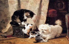 "  Best Of Friends"     Canvas Wall Art Picture Print