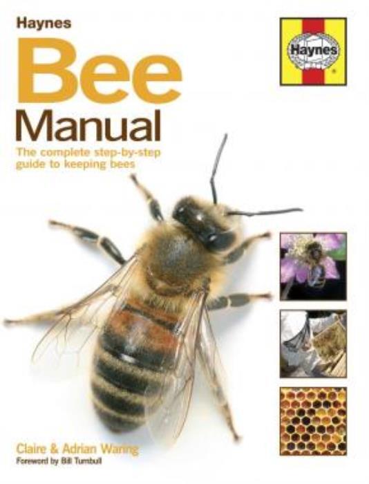 Bee Honey Bees Care Tips Advice Hive Assembly Breeds Haynes Manual